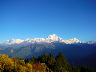 Fototapeta na wymiar Himalayan landscape with beautiful mountain scene and sky. Snowy mountain tops, fir-trees and dry grass. Trekking route to Annapurna - Nepal, Himalaya.