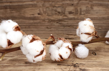 Müll vermeiden - Baumwolle statt Plastik - mit Textfreiraum