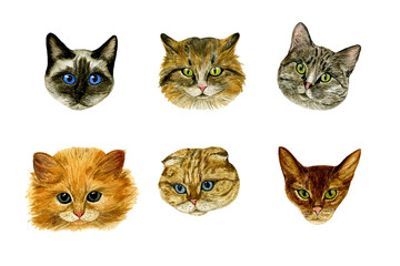 Set of muzzle cats on a white background. Watercolour. Handmade illustration. Perfect for fabrics, cards, T-shirt prints, stickers, etc.