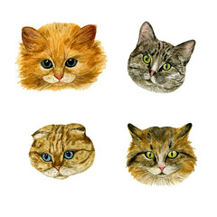 Set of muzzle cats on a white background. Design elements. Perfect for invitations, greeting cards, blogs, posters, prints on a white background. Watercolour. Hand drawn illustration.