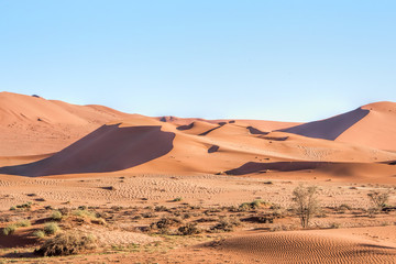 Red sand dunes in Namibia