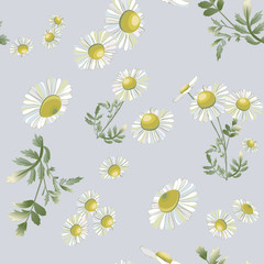 Chamomiles scattered randomly on gray background.Daisy flower drawing.