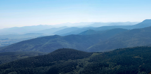 Vosges mountains