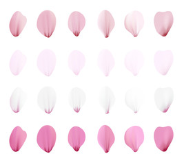 Realistic pink sakura petals icon set. Gradient mesh 3d cherry petals. Vector illustration.
