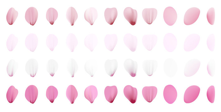 Realistic pink sakura petals icon set. Gradient mesh 3d cherry petals. Vector illustration.