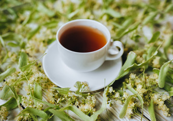 White cup and dish linden tea or blooming tilia, basswood, on rustic vintage white wooden table. Herbal tea concept, selective focus. Treatment of cold and flu.