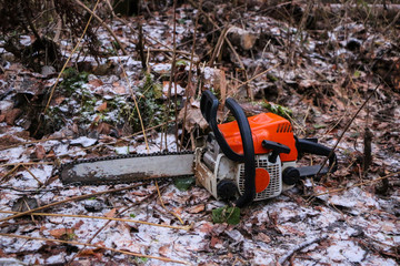 Woodcutter saws tree with chainsaw in forest. A woodcutter's hand with a chainsaw saws off a branch, shavings and sawdust from sawing fly apart.