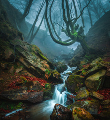 rio y cascada en el bosque belaustegui en el parque natural del monte gorbea en Euskadi
