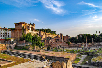 Fototapeta na wymiar Roman Forum, Rome, Italy, long shot.