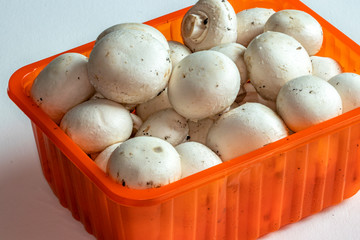 Gros champignons de Paris - Agaricus bisporus - dans leur conditionnement plastique