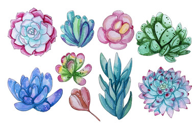 Watercolor collection with succulents plants.
