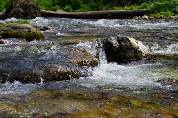 Mountain Creek. Tatransky narodny park. Vysoke Tatry. Poland.