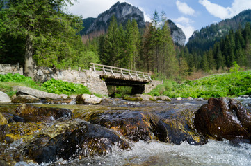 Dolina Koscieliska. Tatransky narodny park. Vysoke Tatry. Poland. © Aleksey