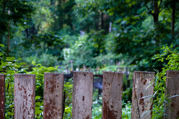 Wooden fence