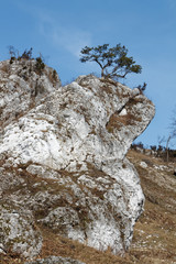 Góra Zborów na Jurze krakowsko-częstochowskiej © Miroslaw