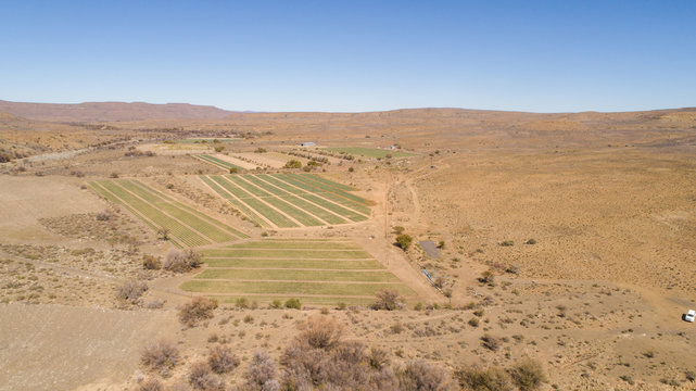 Aerial view over an onion seed farm in the karoo region of south africa
