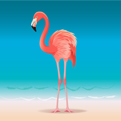 Exotic pink flamingo walking on the hot summer beach. Pink flamingo vector illustration
