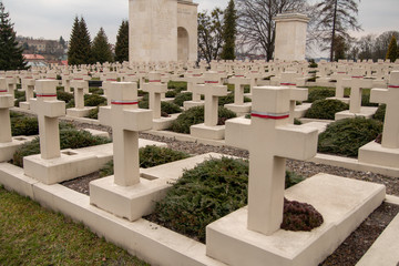 Fototapeta na wymiar View of Polish military cemetery (Cmentarz Orlat) in Lychakiv Cemetery in Lviv city, Ukraine