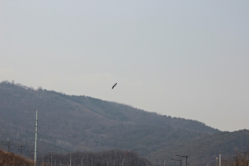 구름낀 하늘과 산 그릭고 새