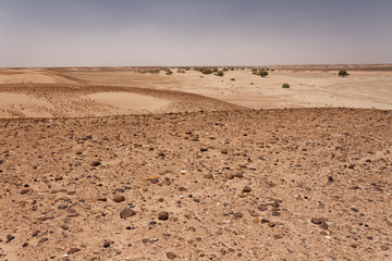 Sahara w Maroku