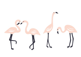 Flamingo set. Scandinavian style. Vector illustration