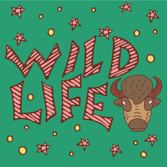 Color buffalo doodle with Wilde Life lettering