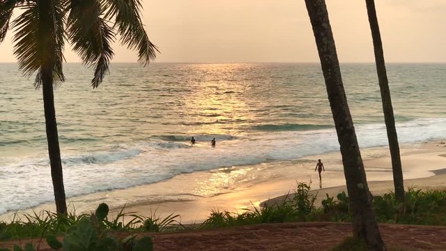 Amazing sunset people swim in ocean waves on tropical Odayam beach Varkala, sunlight reflect on water surface, palm leaves develop in wind of Kerala India