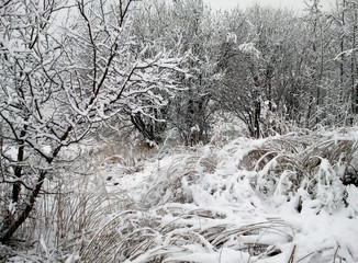 Śnieżne pejzaże © Miroslaw