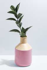 Mock up branch with green leaves in pink vase on book shelf or desk. Minimalistic concept.