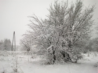 Śnieżne pejzaże © Miroslaw