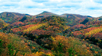 Fototapeta premium German mountains and woods