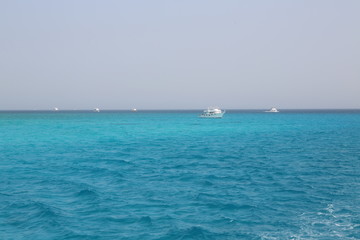 Obraz premium sea 