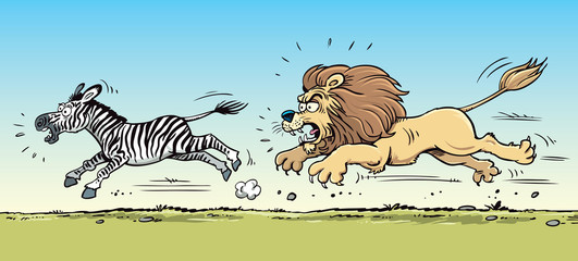 Lion hunting a zebra © Moriz