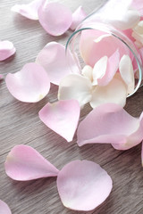 Close up romantic pink rose petals pouring out from a glass jar on wooden background