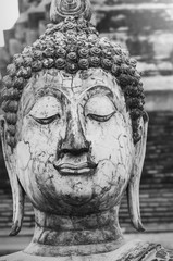 Buddha statue