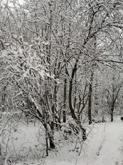 Śnieżne pejzaże © Miroslaw