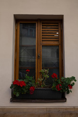 Fototapeta na wymiar Vintage wooden window with jalousie and flowers outside room