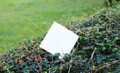 torn paper on grass background with copy space for text