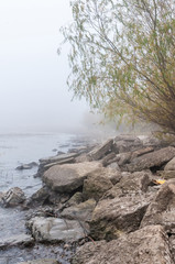 The shore of the cold river autumn on a foggy day