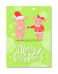Merry Christmas postcard, piglets symbol of New Year with gift box on green snowflakes. Pig girlfriend and boyfriend in Santa hat and bow exchange presents vector