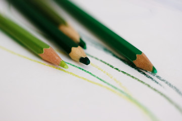 Four pencils of different green shades lie on the paper on which the lines are drawn ©  Valeri Vatel