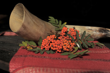 animal horn, tablecloth and rowan berries,