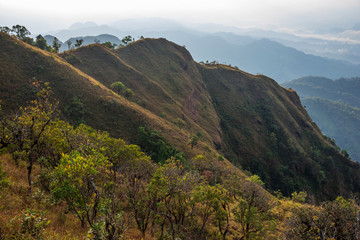 fog and cloud mountain valley landscape on morning