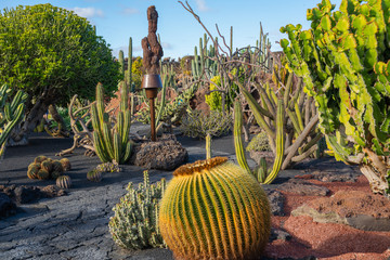 Beatiful View of cactus garden, Jardin de Cactus in Guatiza, Lanzarote, Canary Islands, Spain....