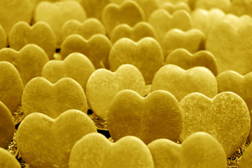 Closed up lined up heart shaped Hoya Kerrii plants in golden yellow for Background or Banner 