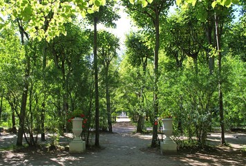 Streets Pavlovsky Park. The city of Pavlovsk.