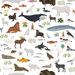 Tundra biome. Terrestrial ecosystem world map. Arctic animals, birds, fish and plants seamless pattern design