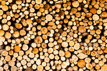 ends of logs wooden background. toning. wood in the stack. - Image