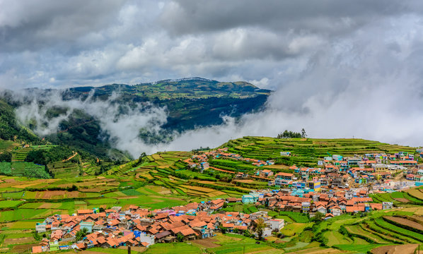 landscape of Kodaikanal. Kodaikanal is a city in the hills of the Dindigul district in the state of Tamil Nadu, India. Its name in the Tamil language means "The Gift of the Forest 