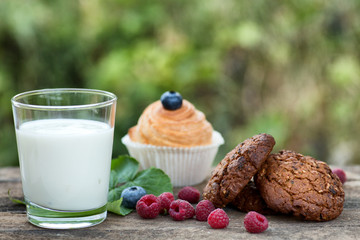 Natural yogurt with fresh berries and biscuit. copy space.
